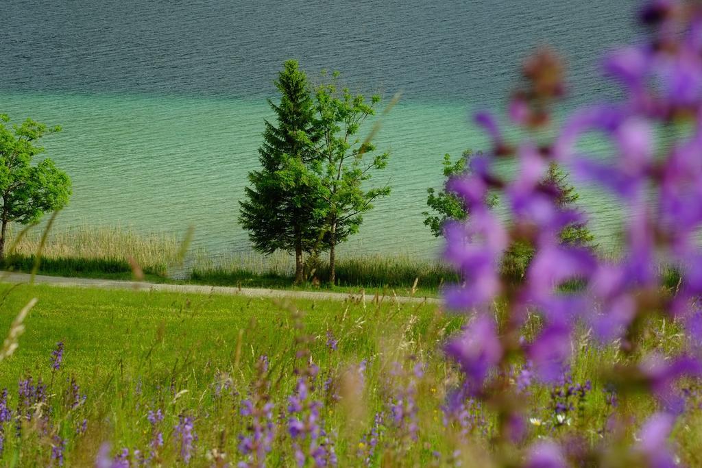 Draxl-Hof Ferienwohnungen Weissensee Eksteriør billede